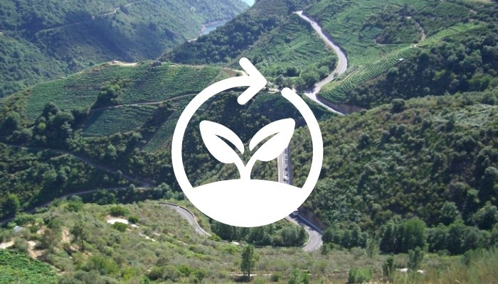 Google premia la sostenibilidad: una oportunidad para el turismo rural en Galicia