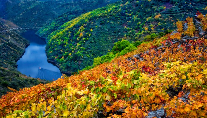 Turismo local, microdestinos y nichos bien definidos