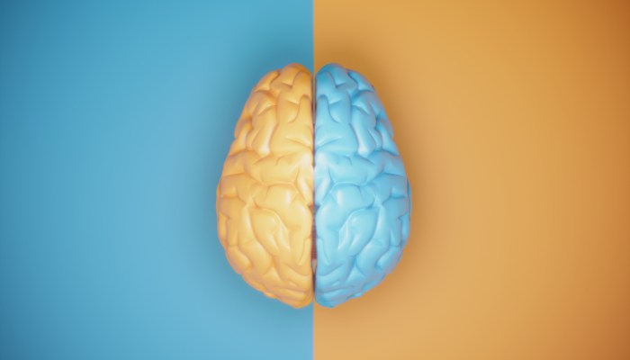 El efecto de aislamiento: por qué el contraste importa más que el color en sí El efecto de aislamiento: por qué el contraste importa más que el color en sí