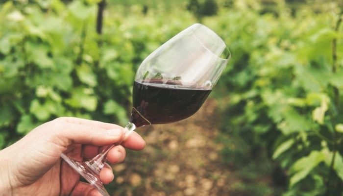 Turismo gastronómico más estratégico Turismo gastronómico más estratégico