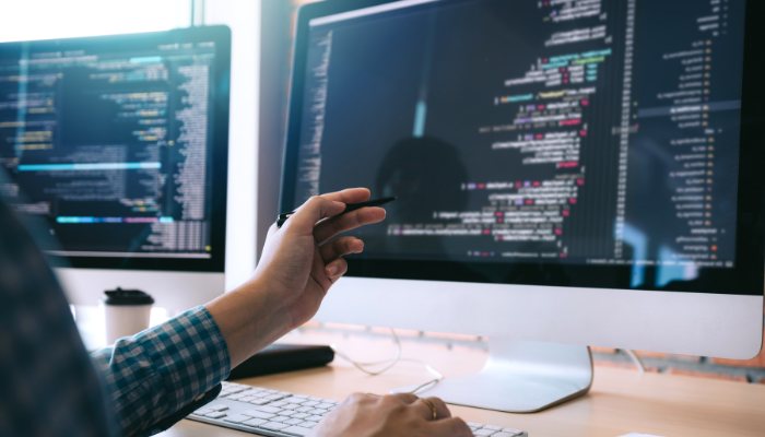 El caso del software y los servicios digitales El caso del software y los servicios digitales
